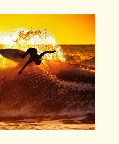 image animation livre surf d